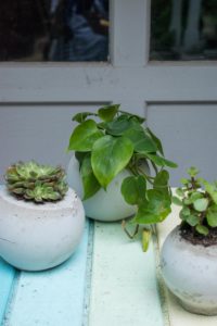 cement ball planters