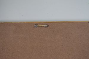Add picture hanger