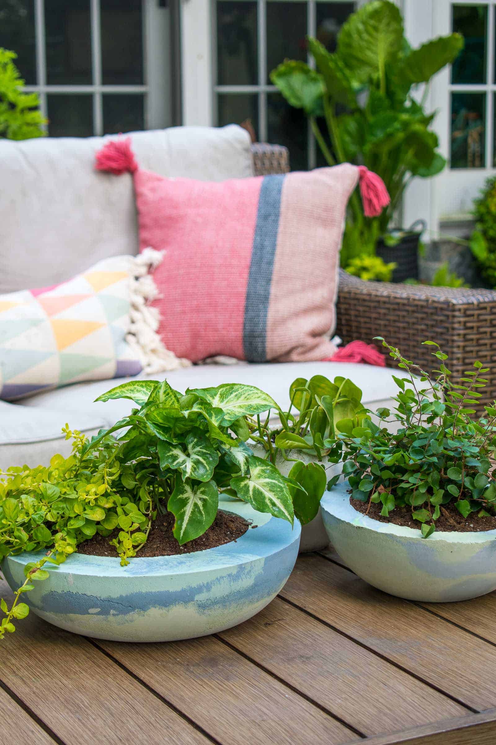 dyed cement planters