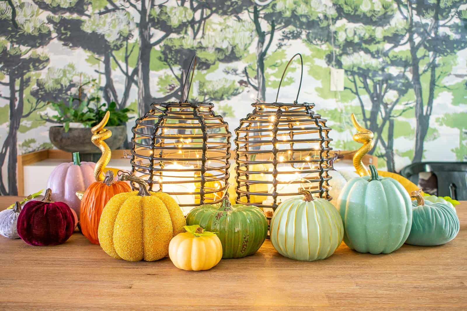 colorful fall pumpkins