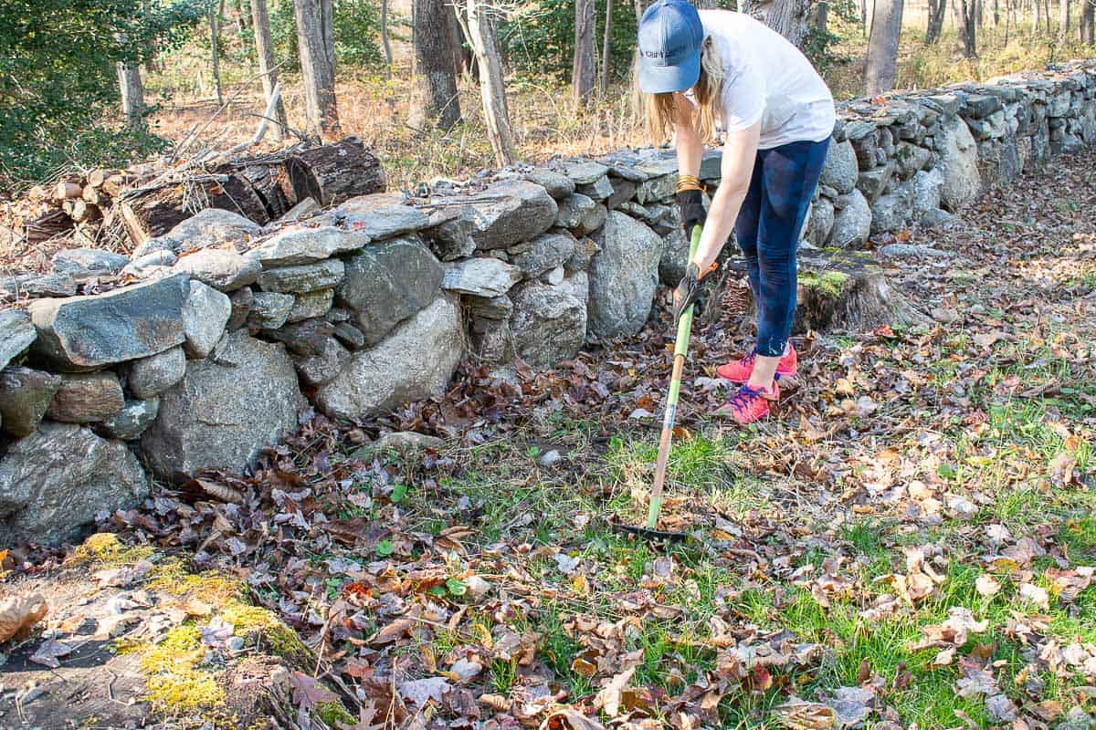 raking the grass and weeds from the garden bed