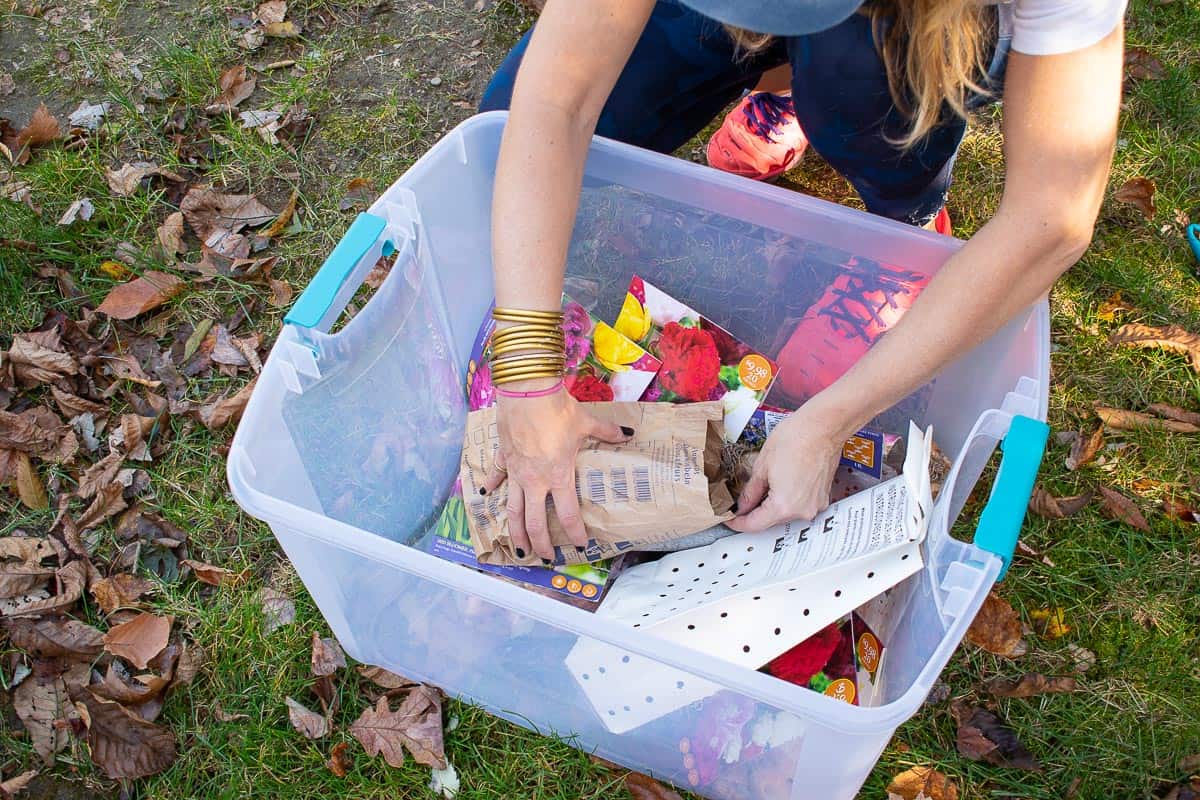 planting bulbs in garden