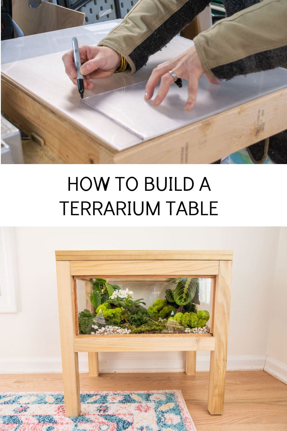HOW TO BUILD A TERRARIUM TABLE 1 - At Charlotte's House
