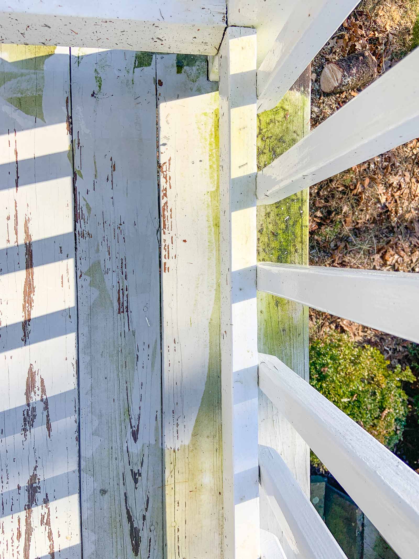 grubby back deck