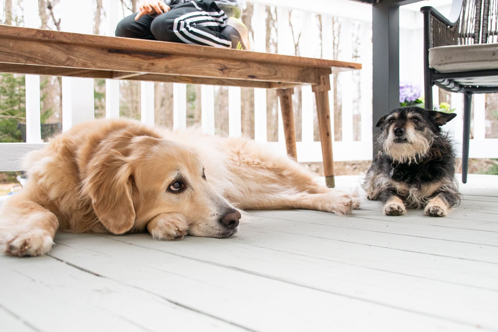 back deck makeover