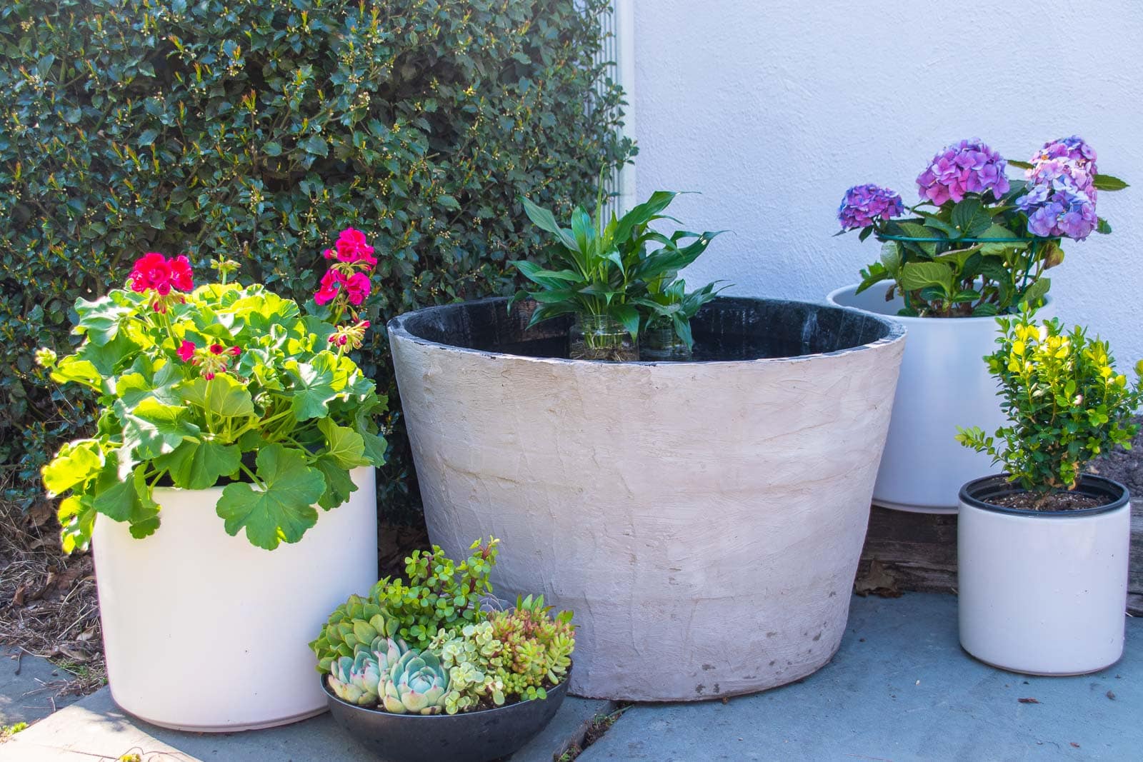 diy concrete garden planter