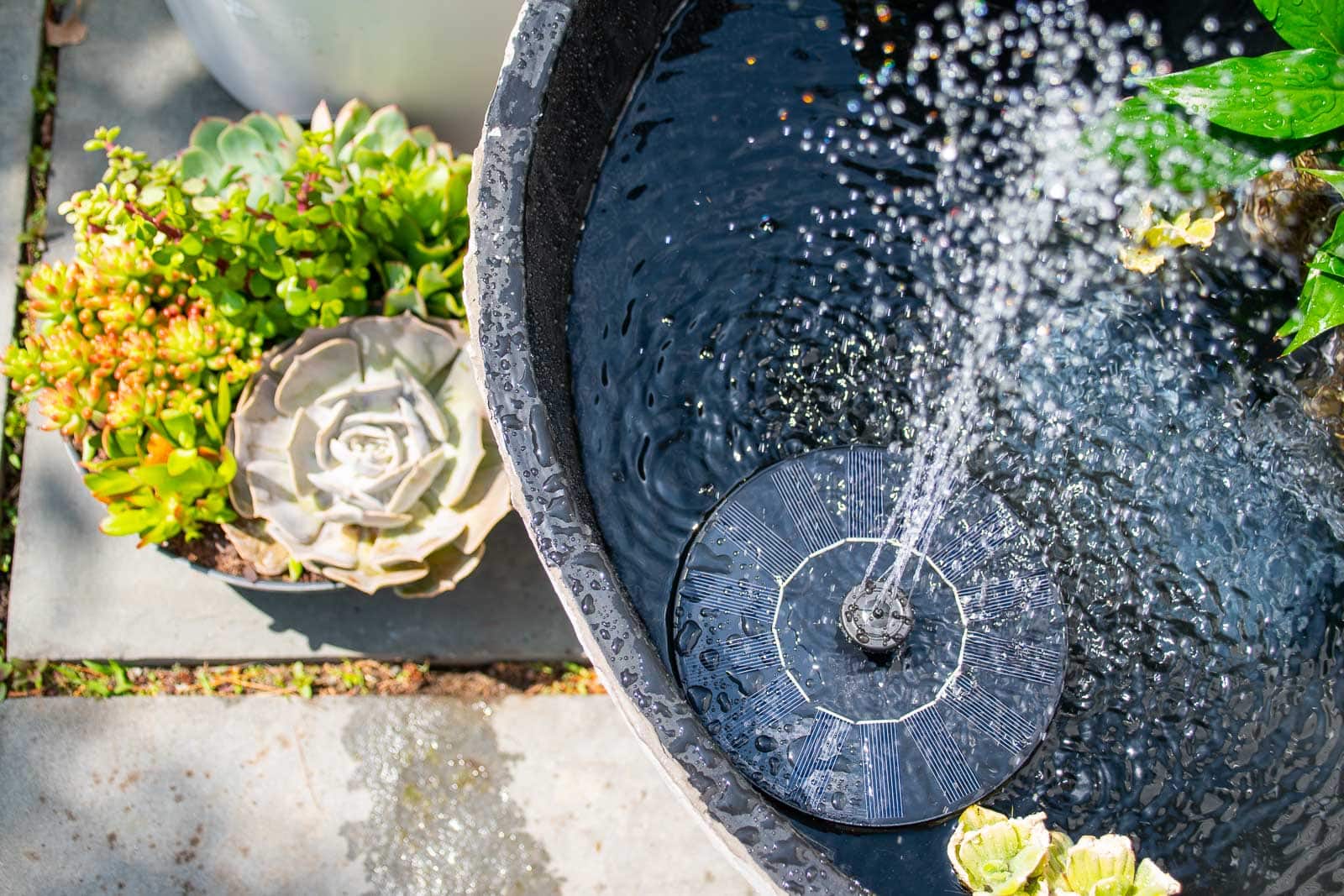 garden planter turned fountain