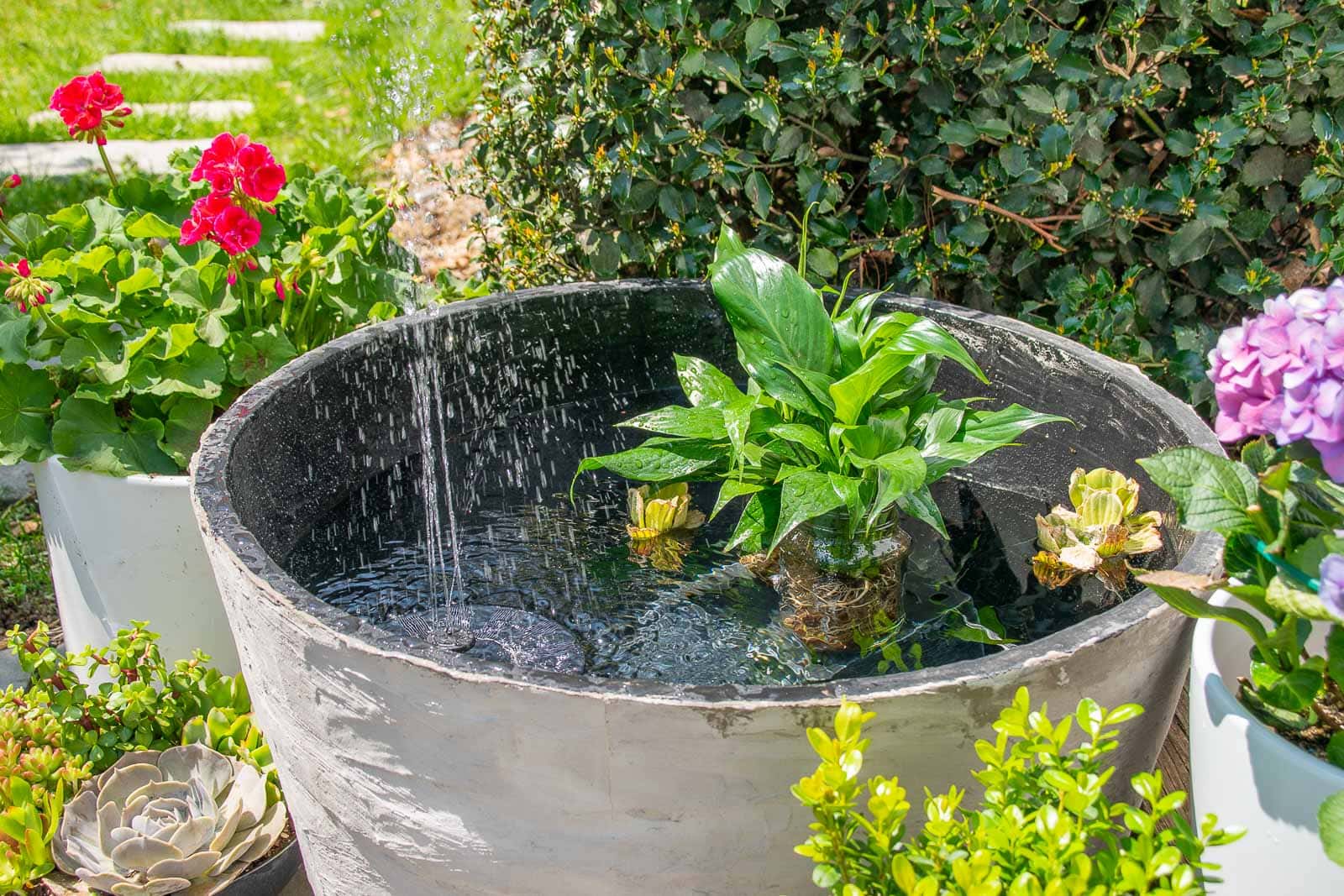 garden planter turned fountain