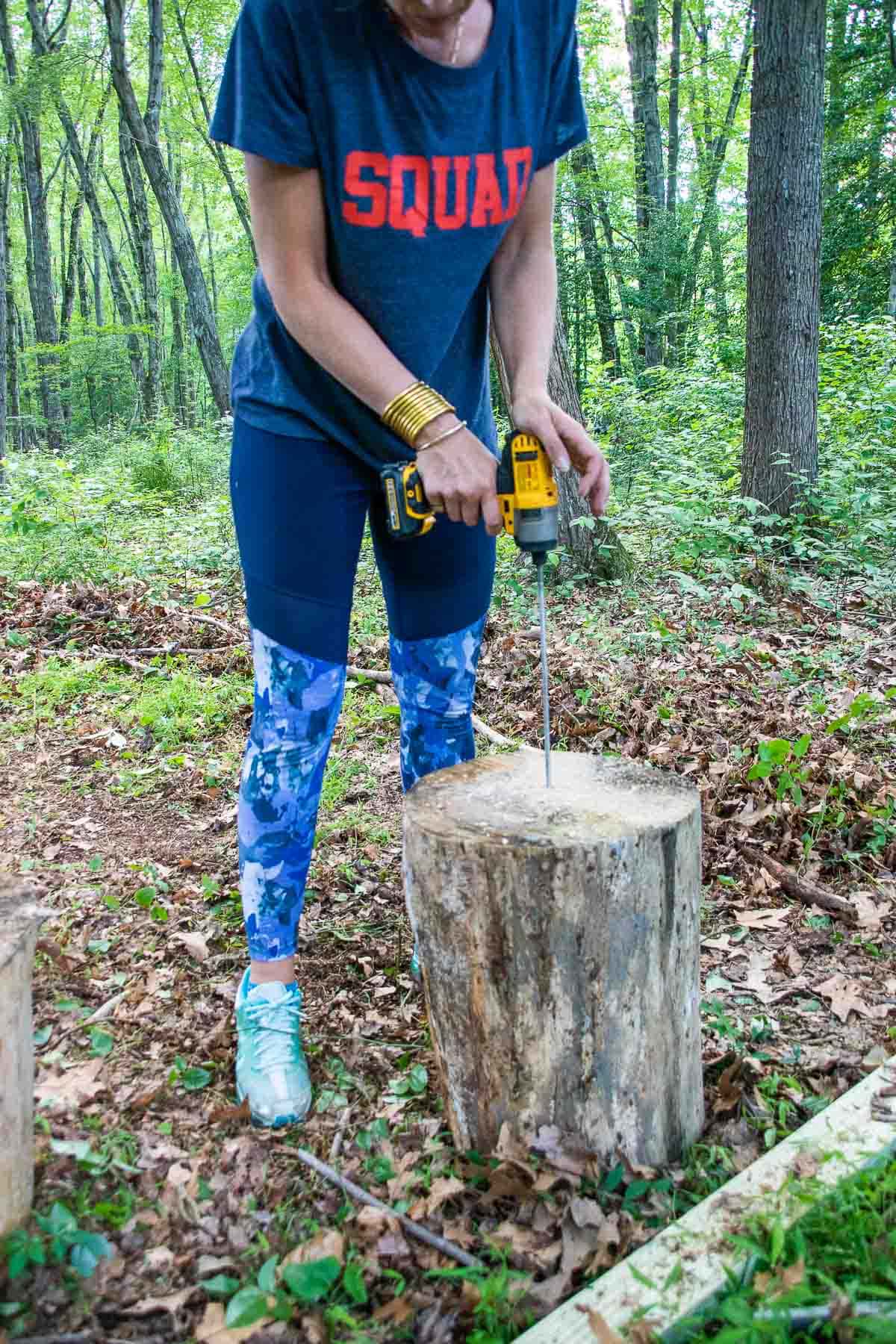 drilling into stumps