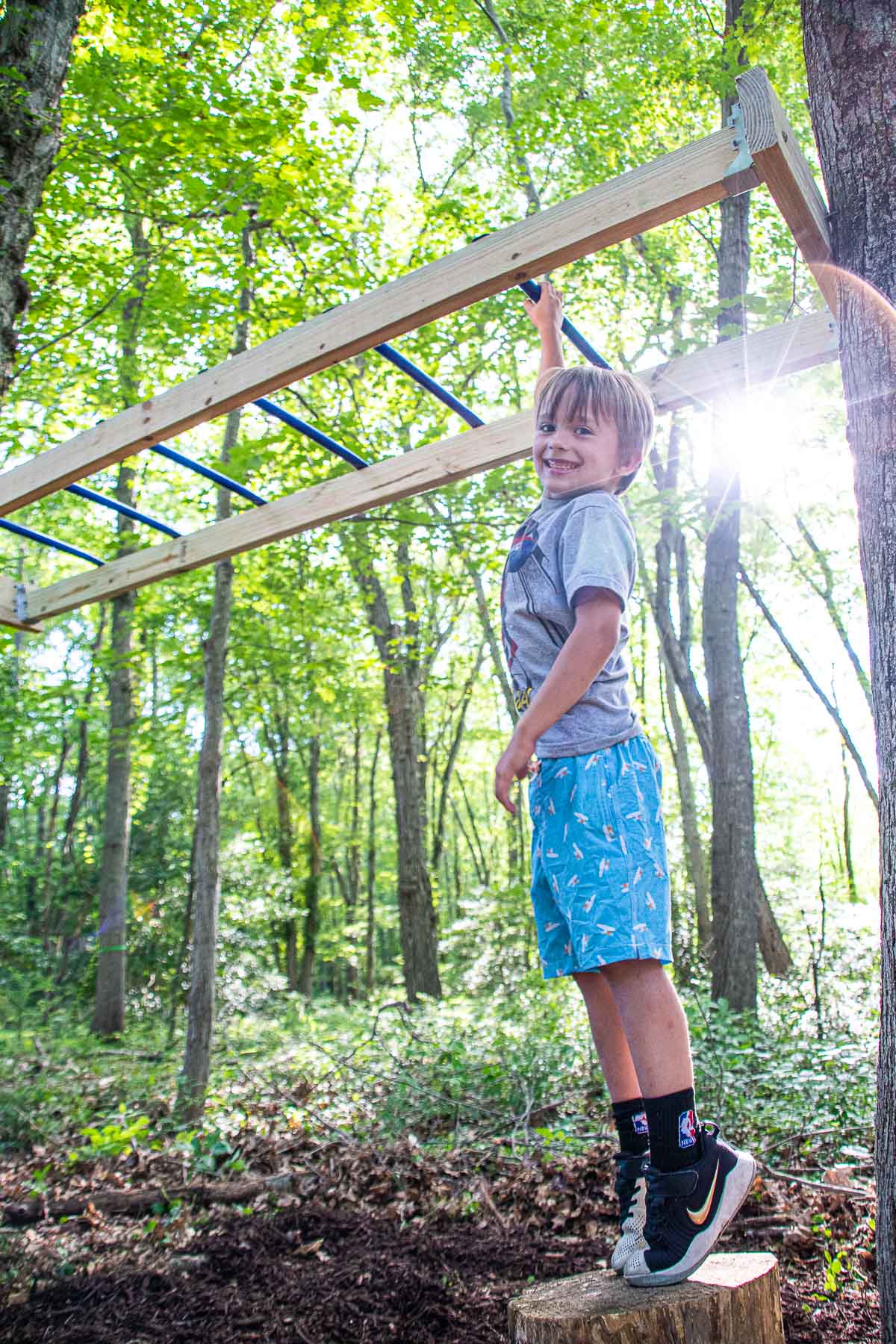 backyard playground monkey bars