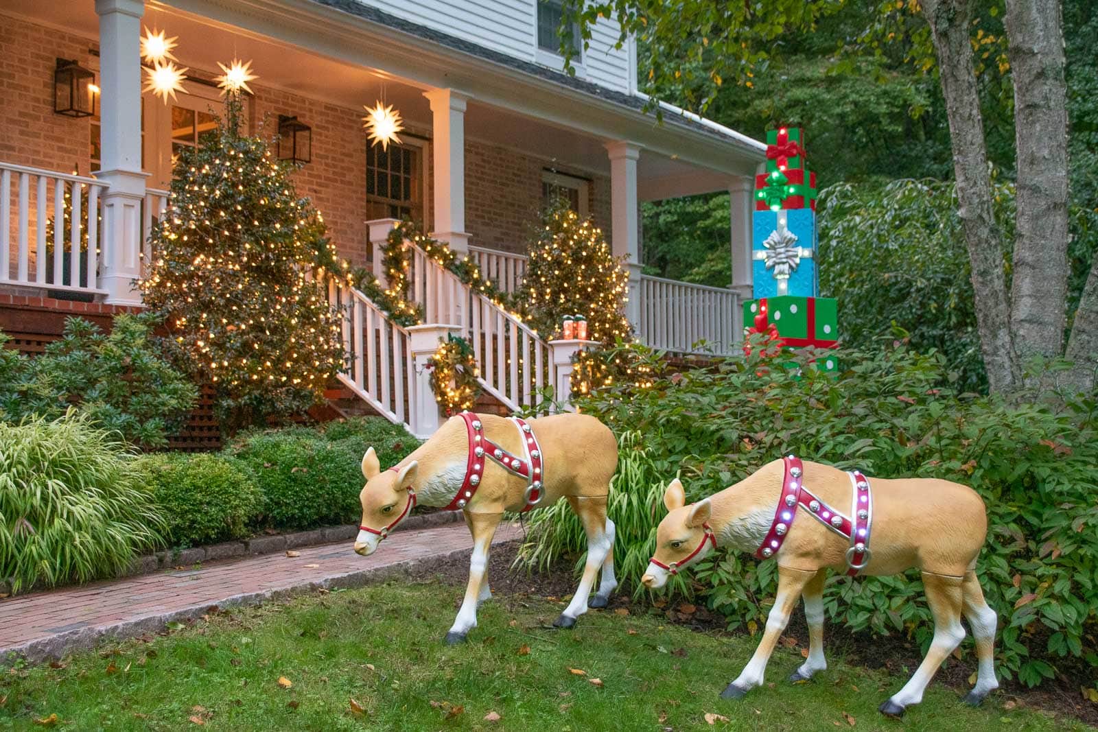 reindeer on front lawn