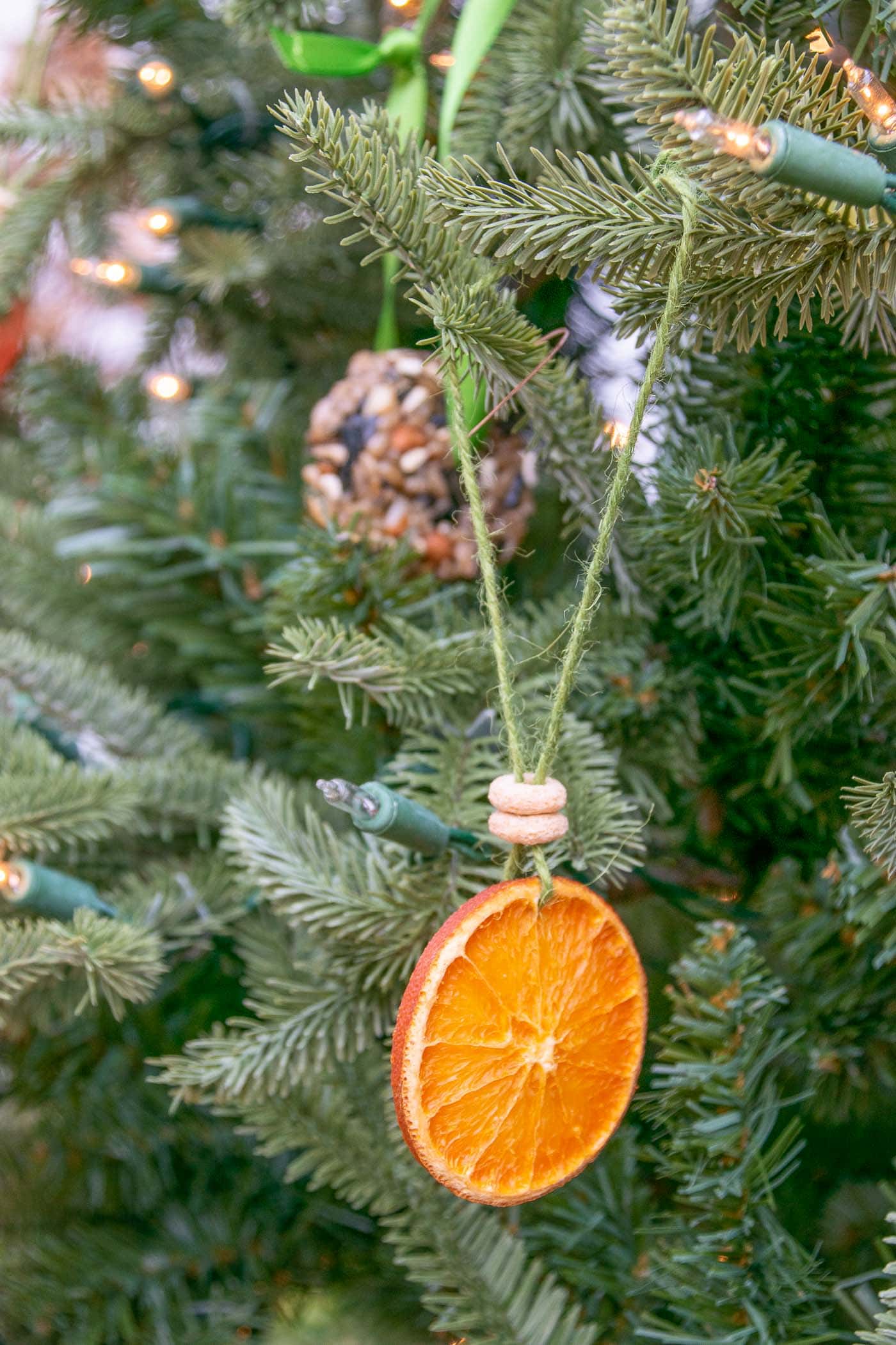 orange ornament