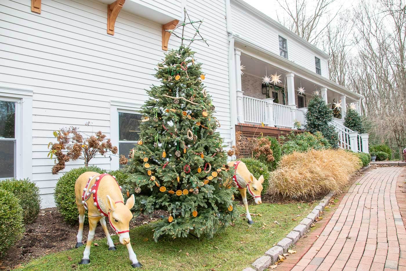 Christmas Tree with Edible Ornaments for the Birds