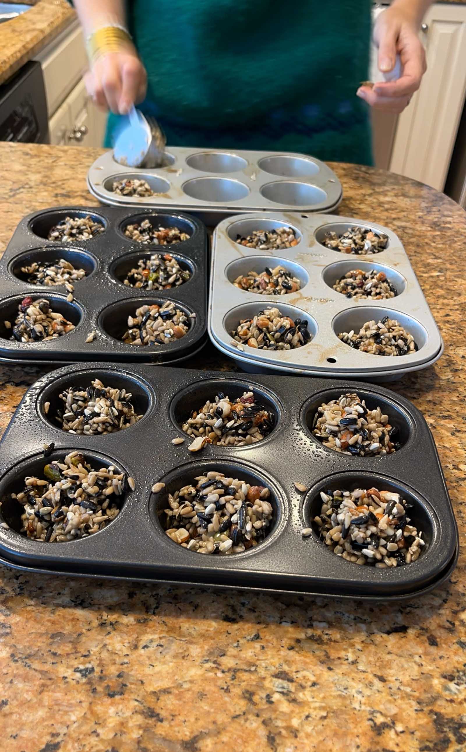 bird seed in muffin pans