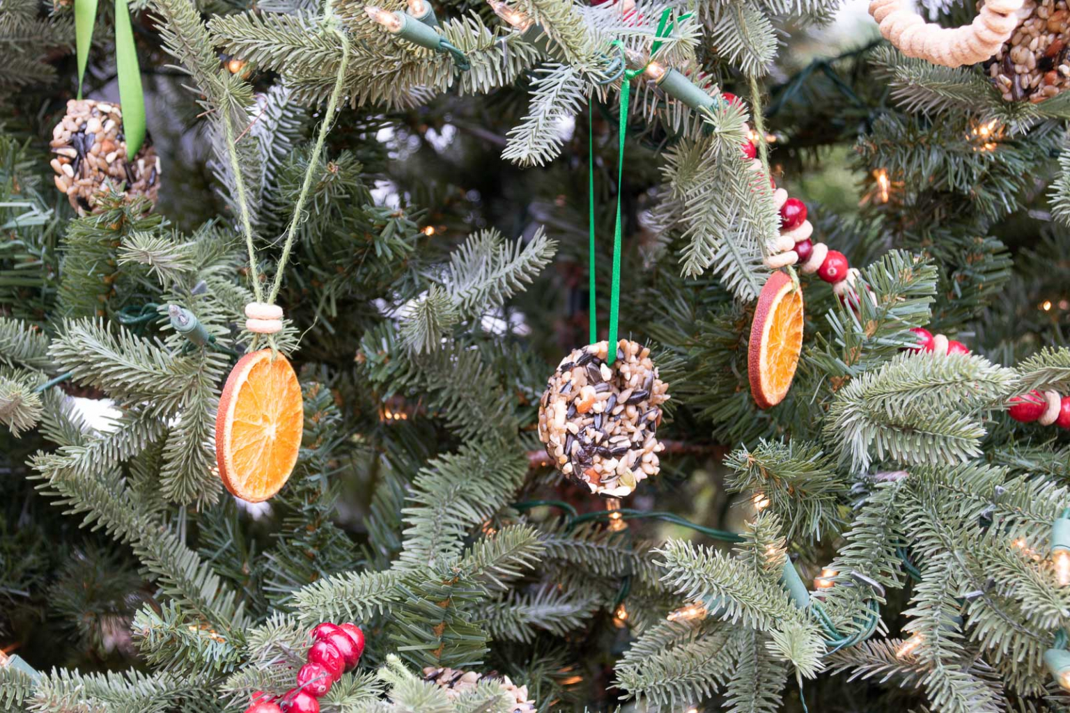 Christmas Tree with Edible Ornaments for the Birds At Charlotte's House