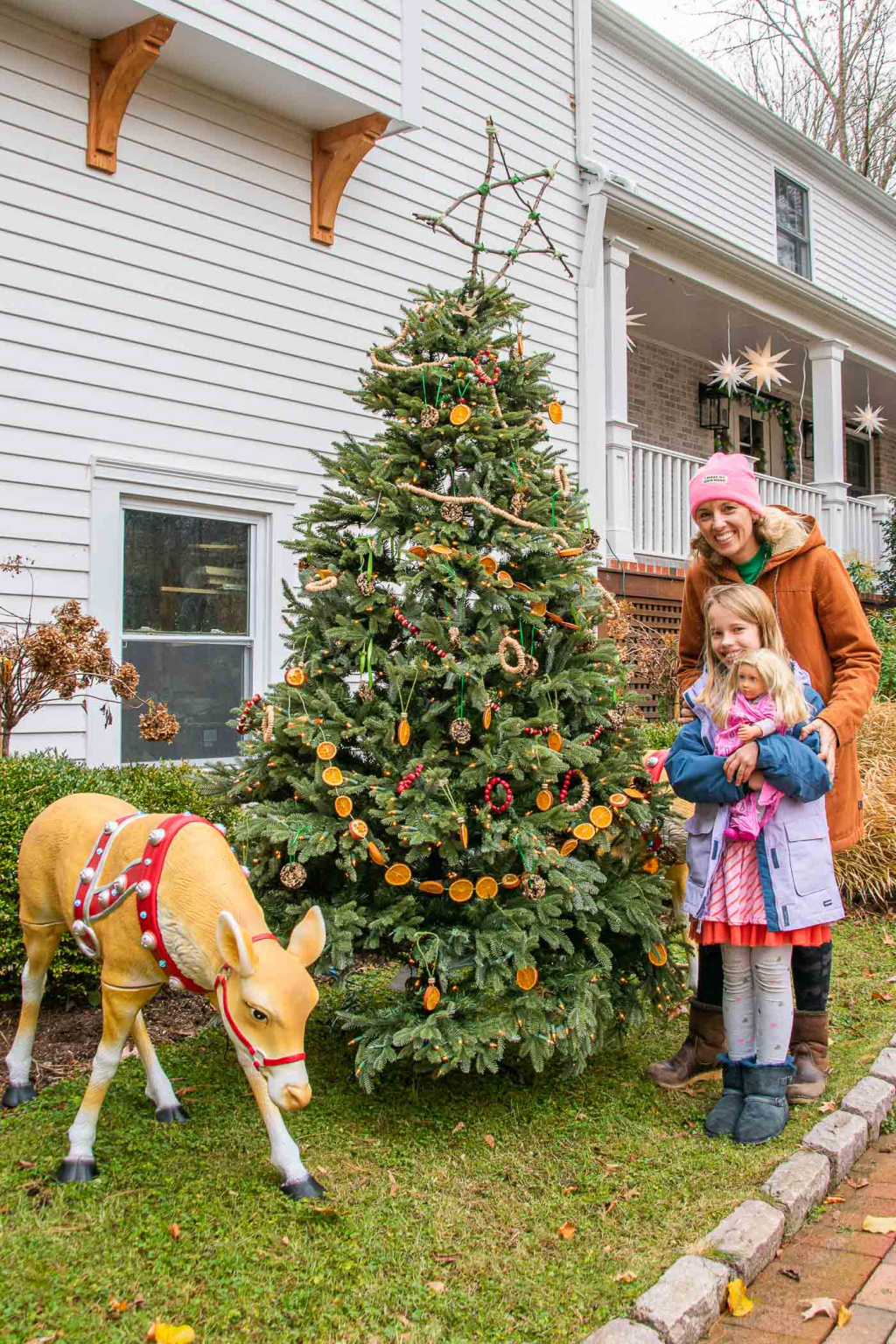 Christmas Tree with Edible Ornaments for the Birds At Charlotte's House