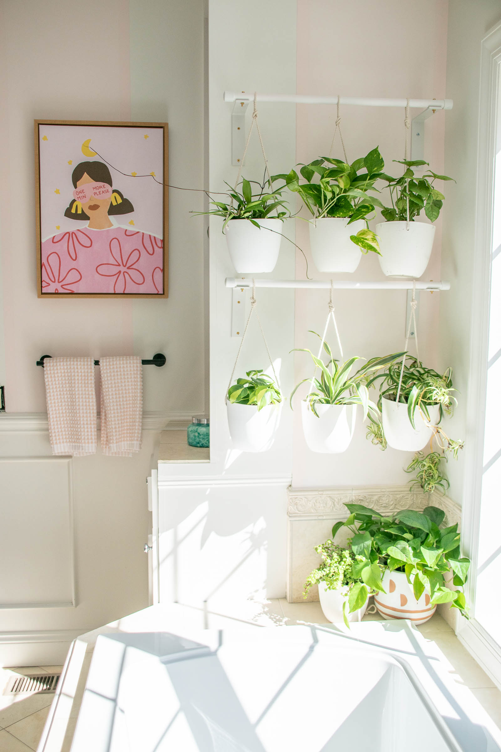 diy plant hanging wall