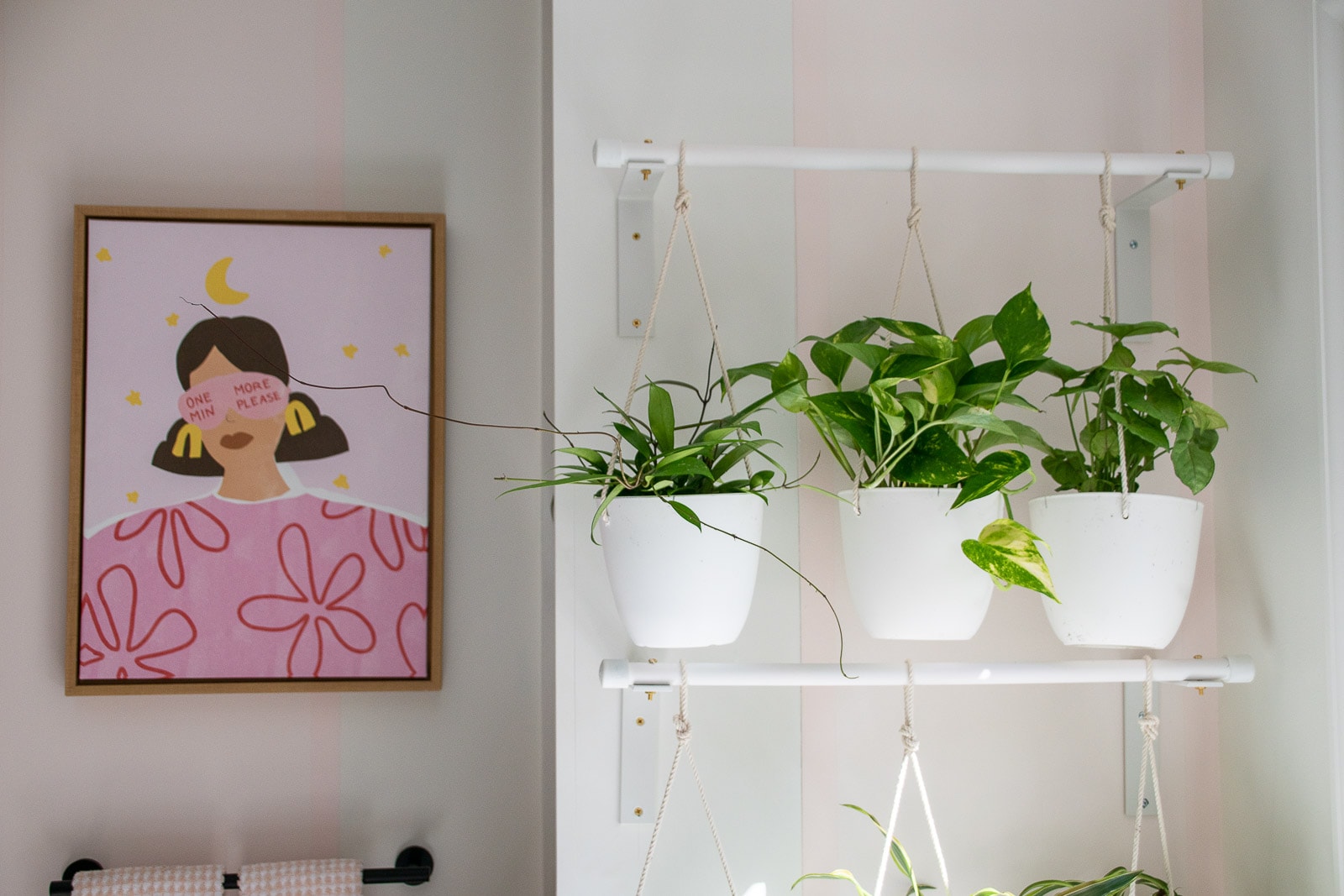 DIY hanging plant rack