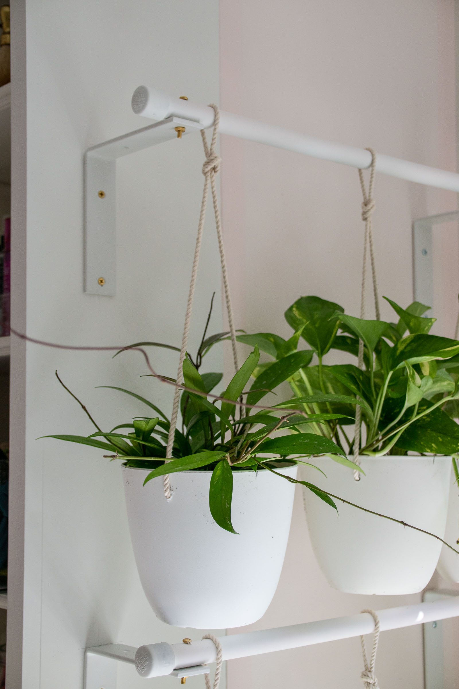 hanging plants on DIY racks