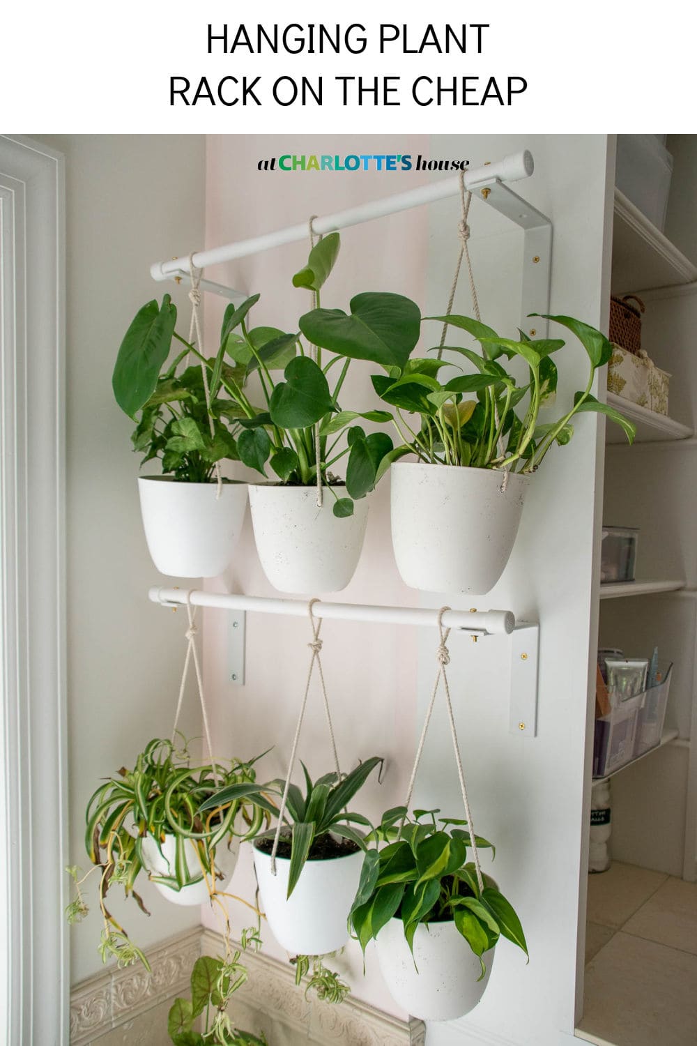 DIY Hanging Plant Wall - At Charlotte's House