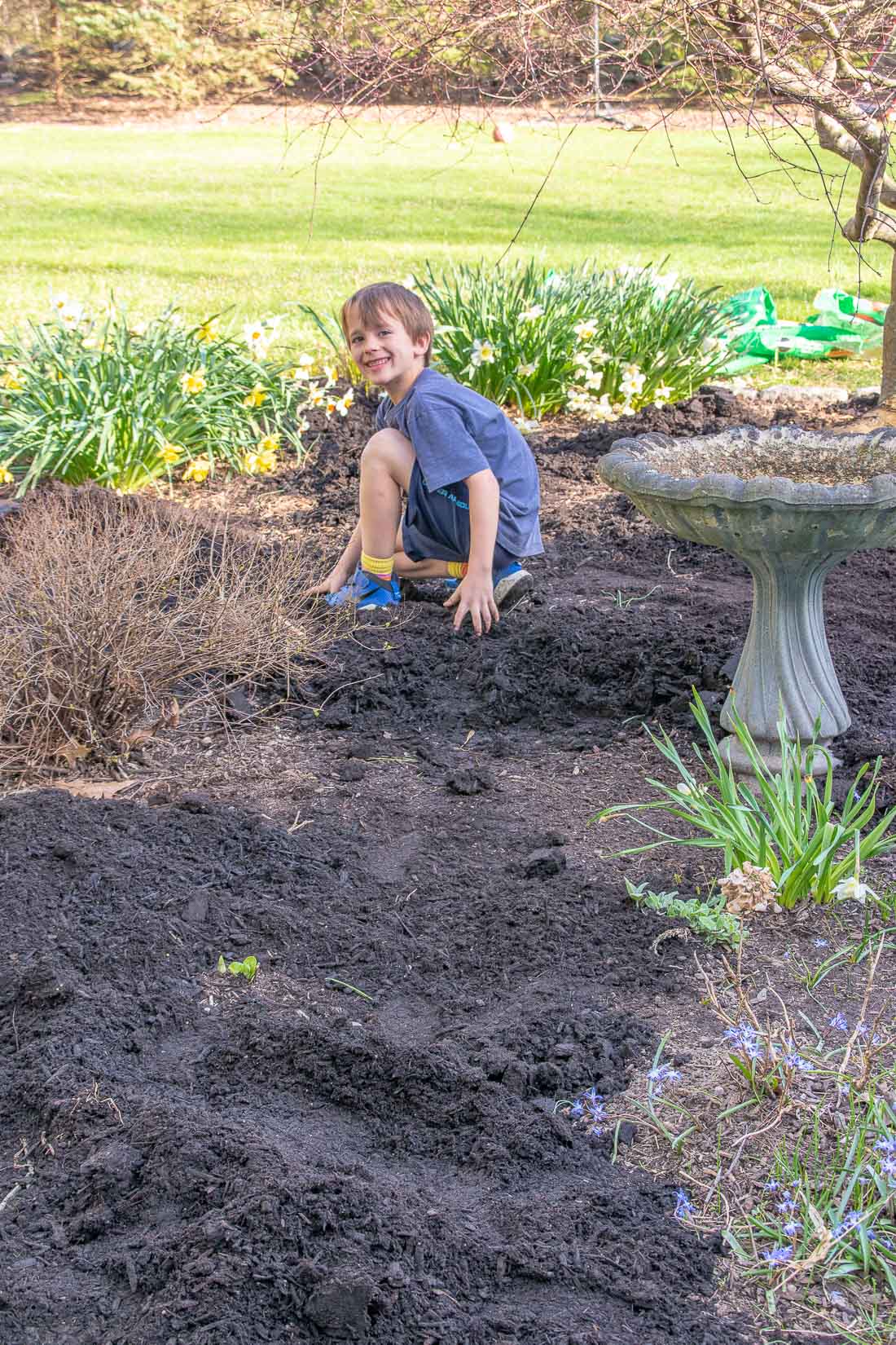 miracle gro garden soil in the garden