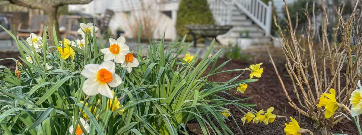 Mistakes You’re Making in Your Garden