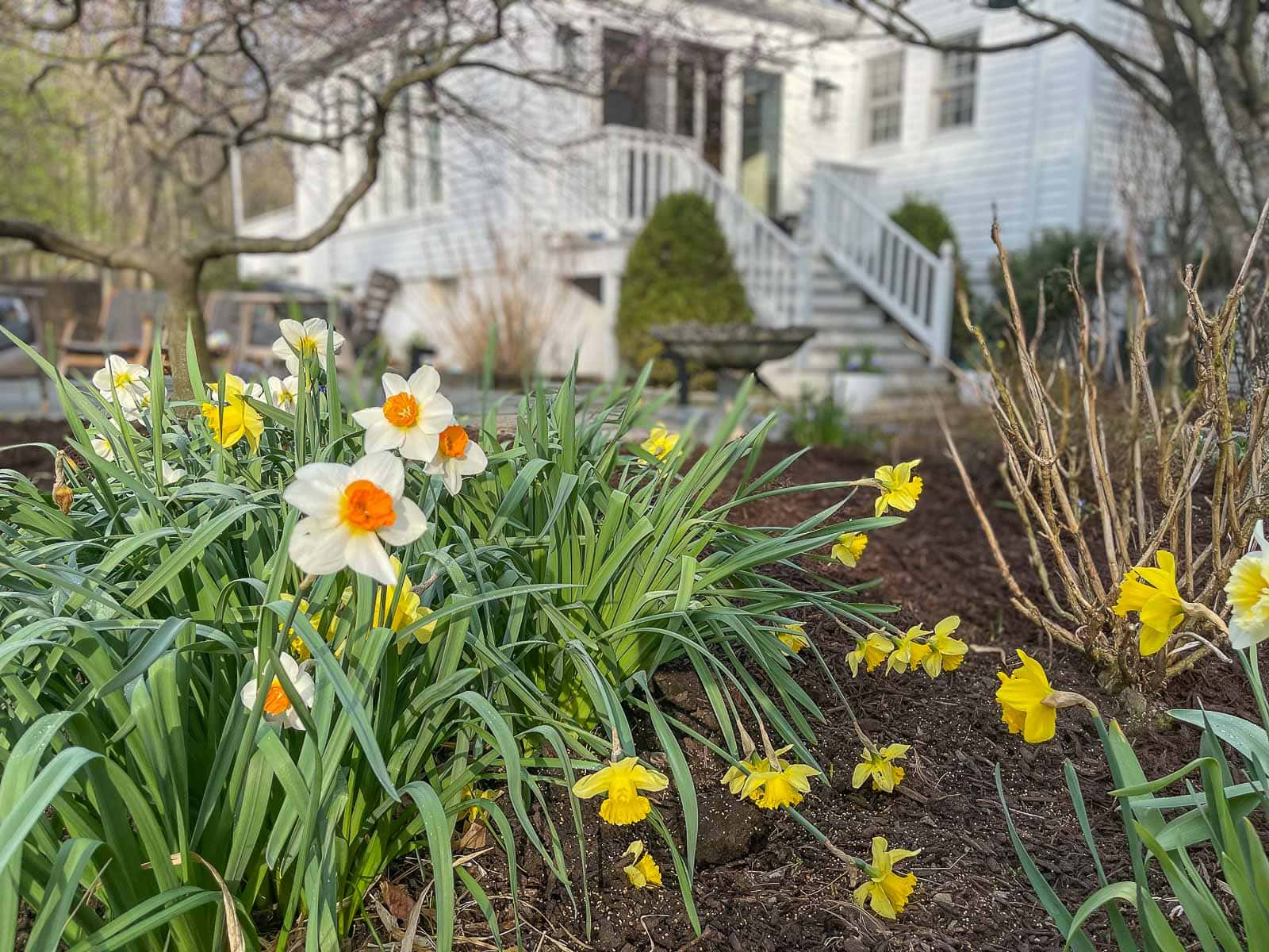 Backyard Dream Shed One Room Challenge Reveal At Charlotte's House
