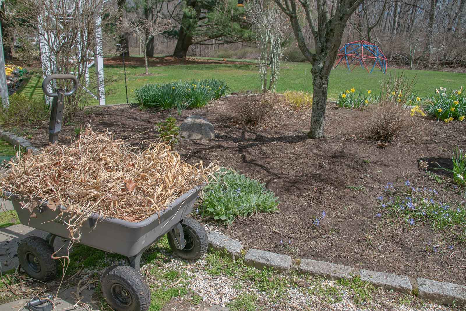 clear the garden of weeds and dead branches