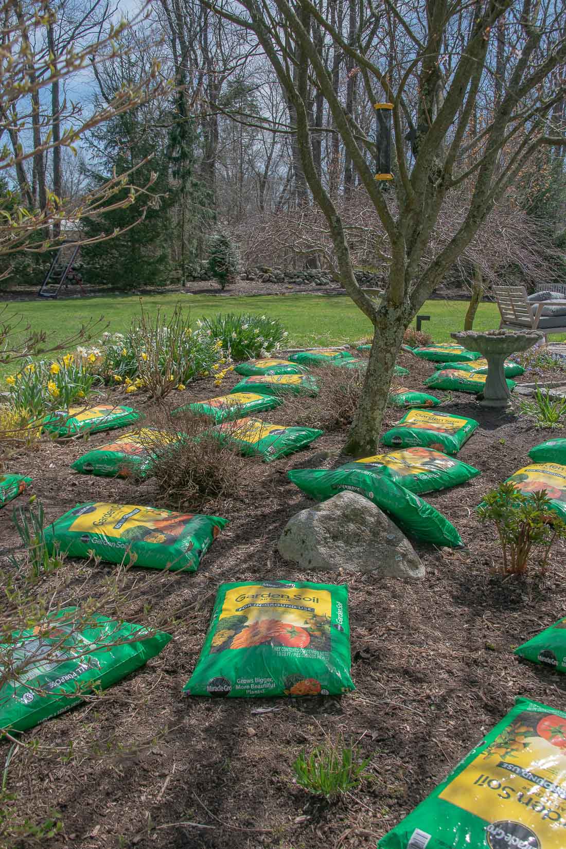 miracle gro garden soil in the garden