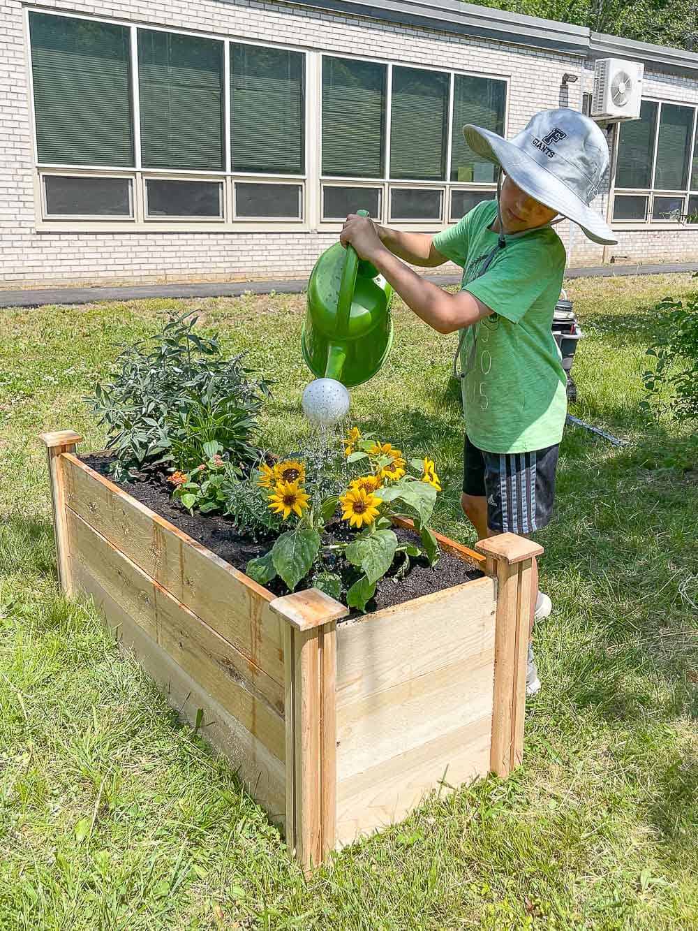 installing a raised community garden