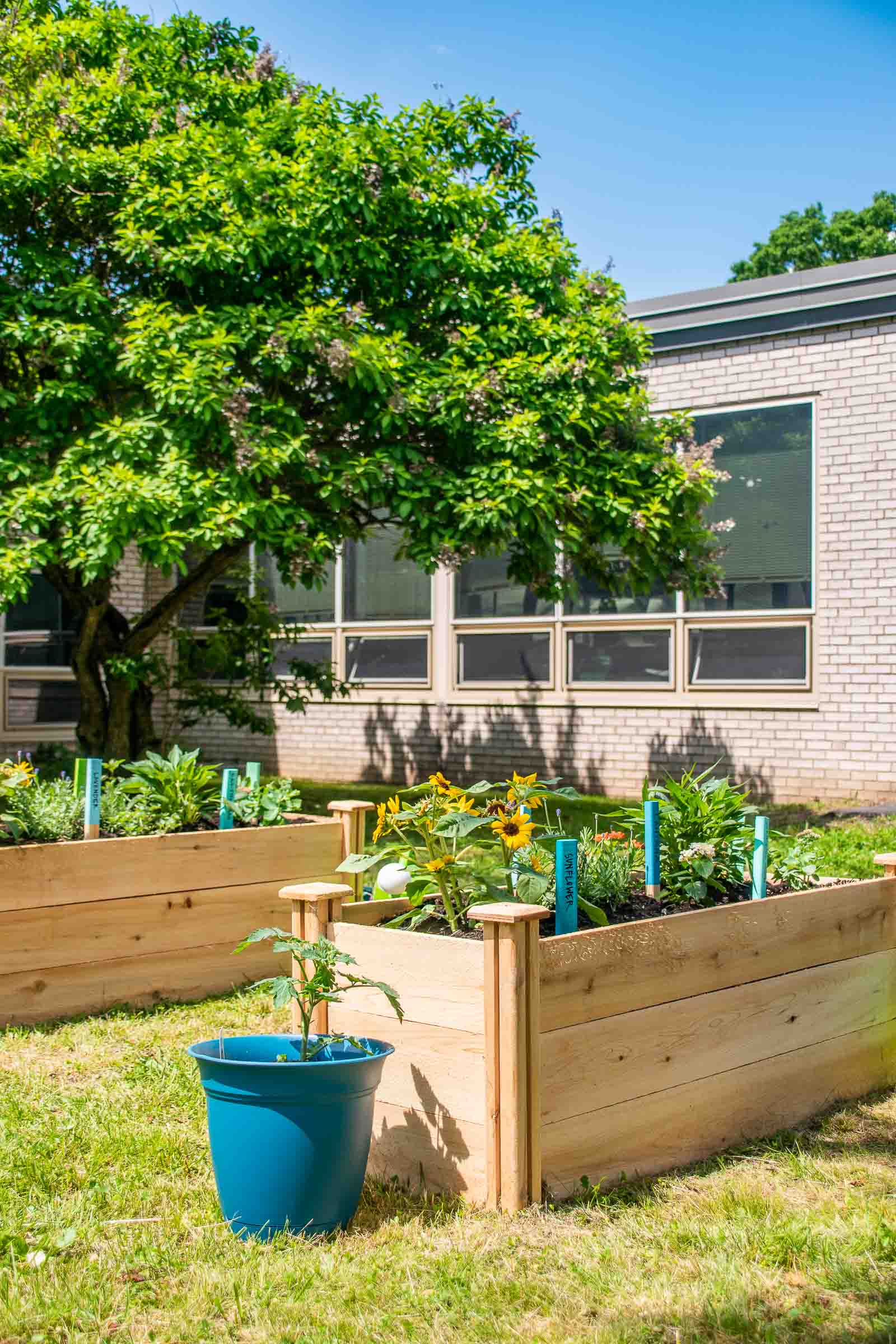 installing a raised community garden