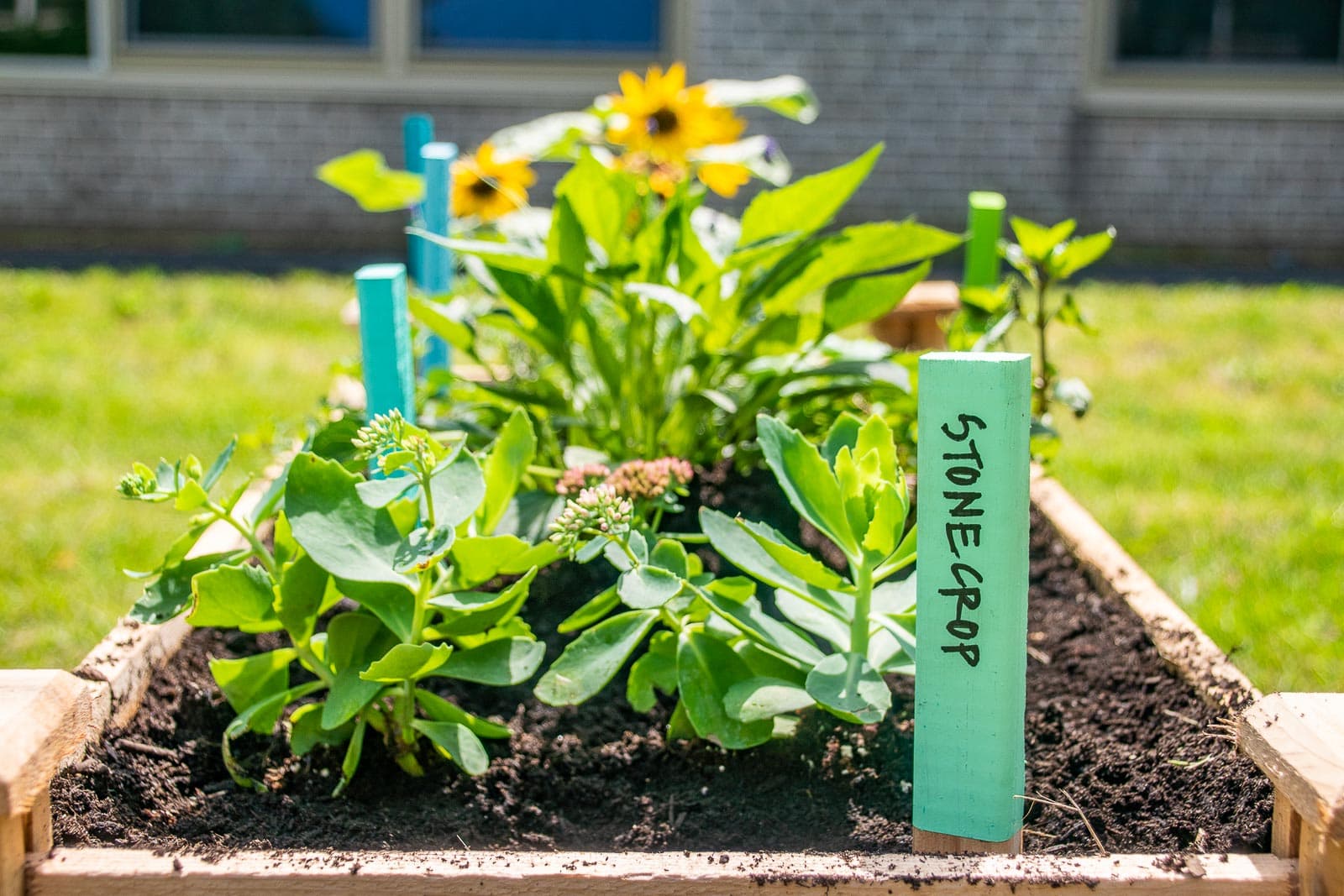 installing a raised community garden