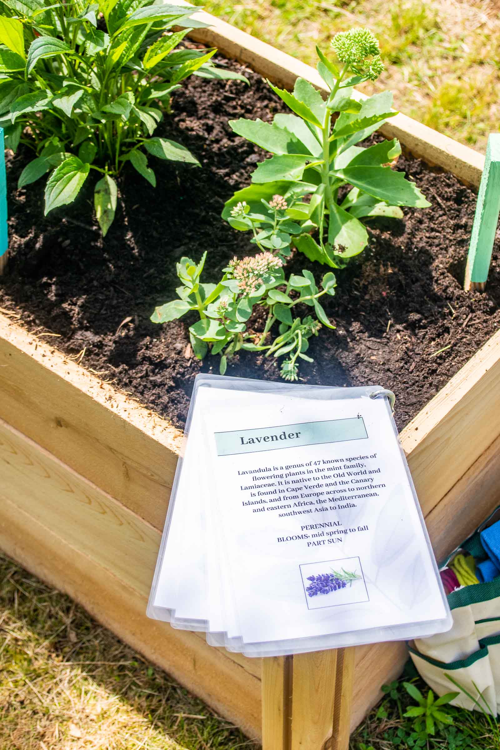 info sheets for community garden