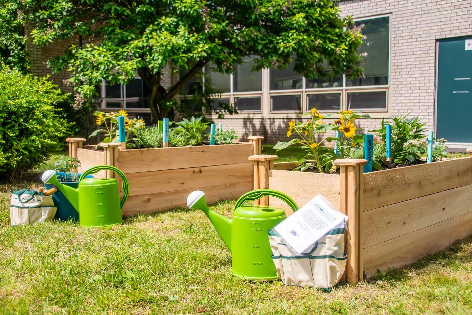 raised community garden