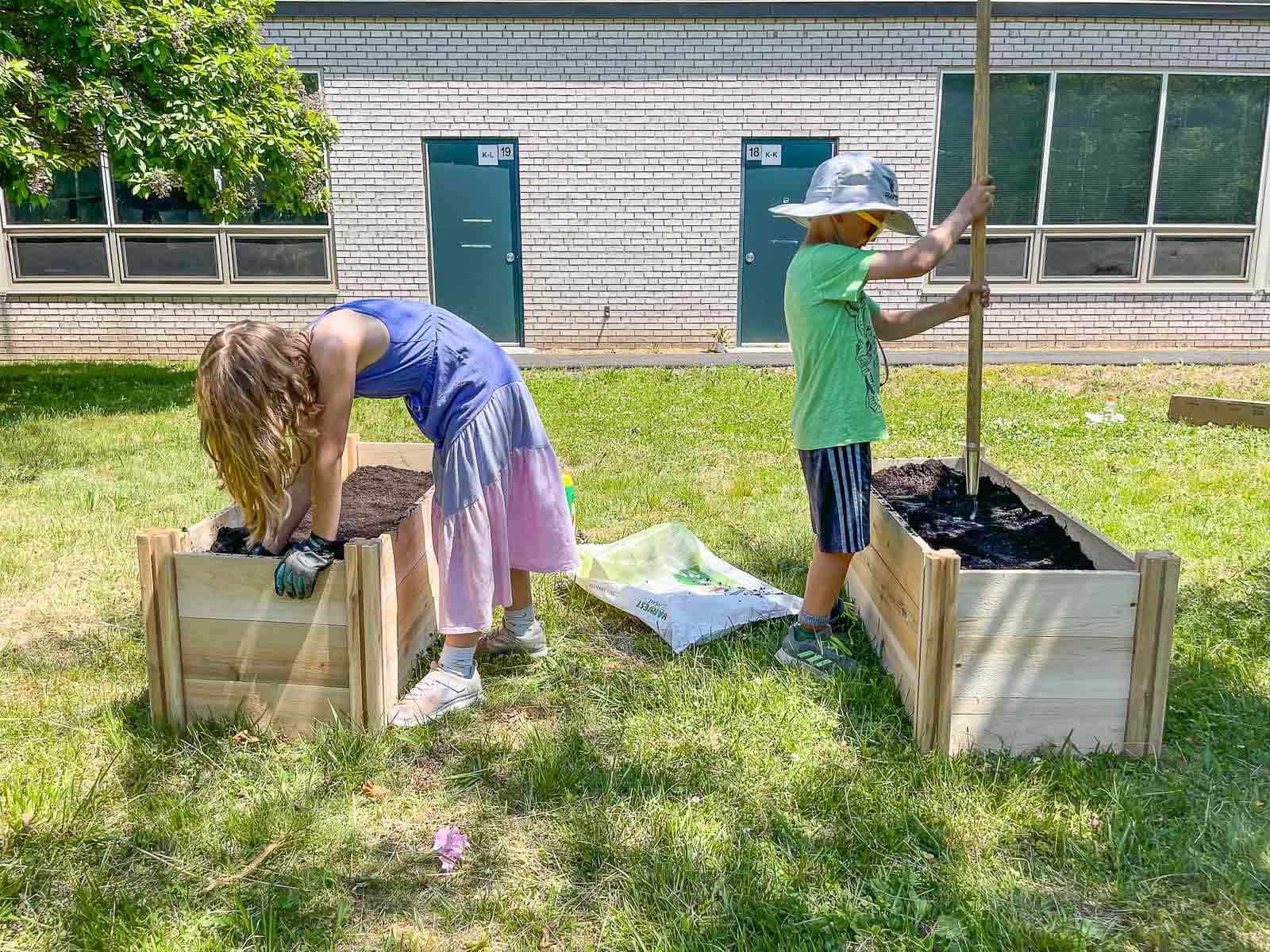 raised beds filled with soil