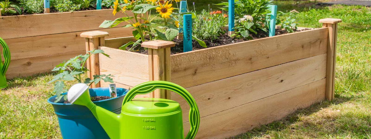 How to Build a Lush Community Garden