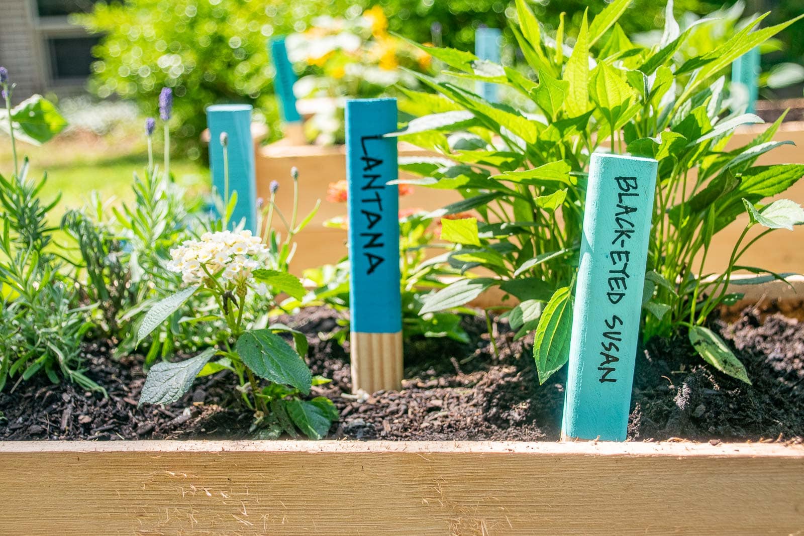 painting wooden garden stakes