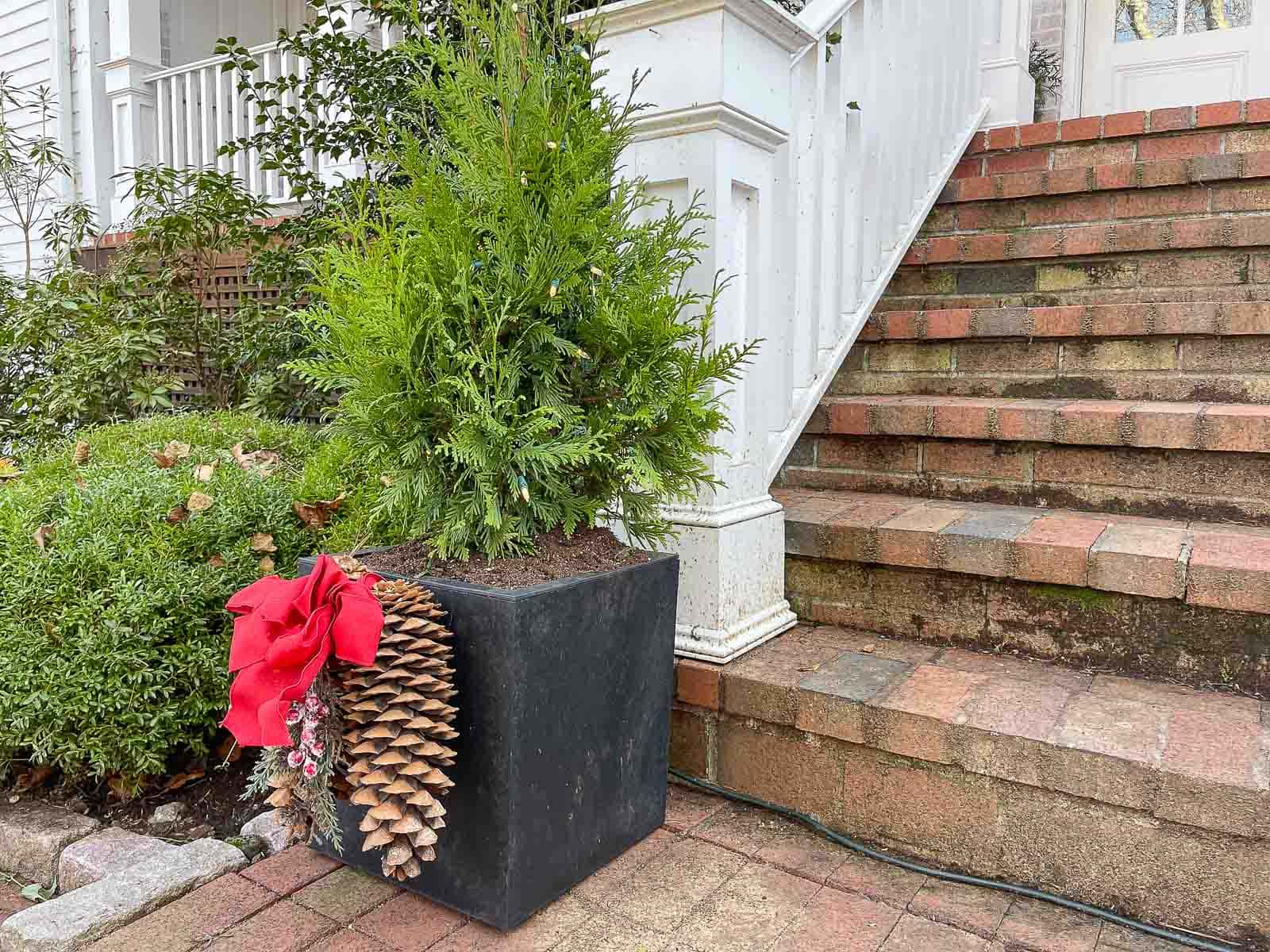 Easy Evergreen Planters