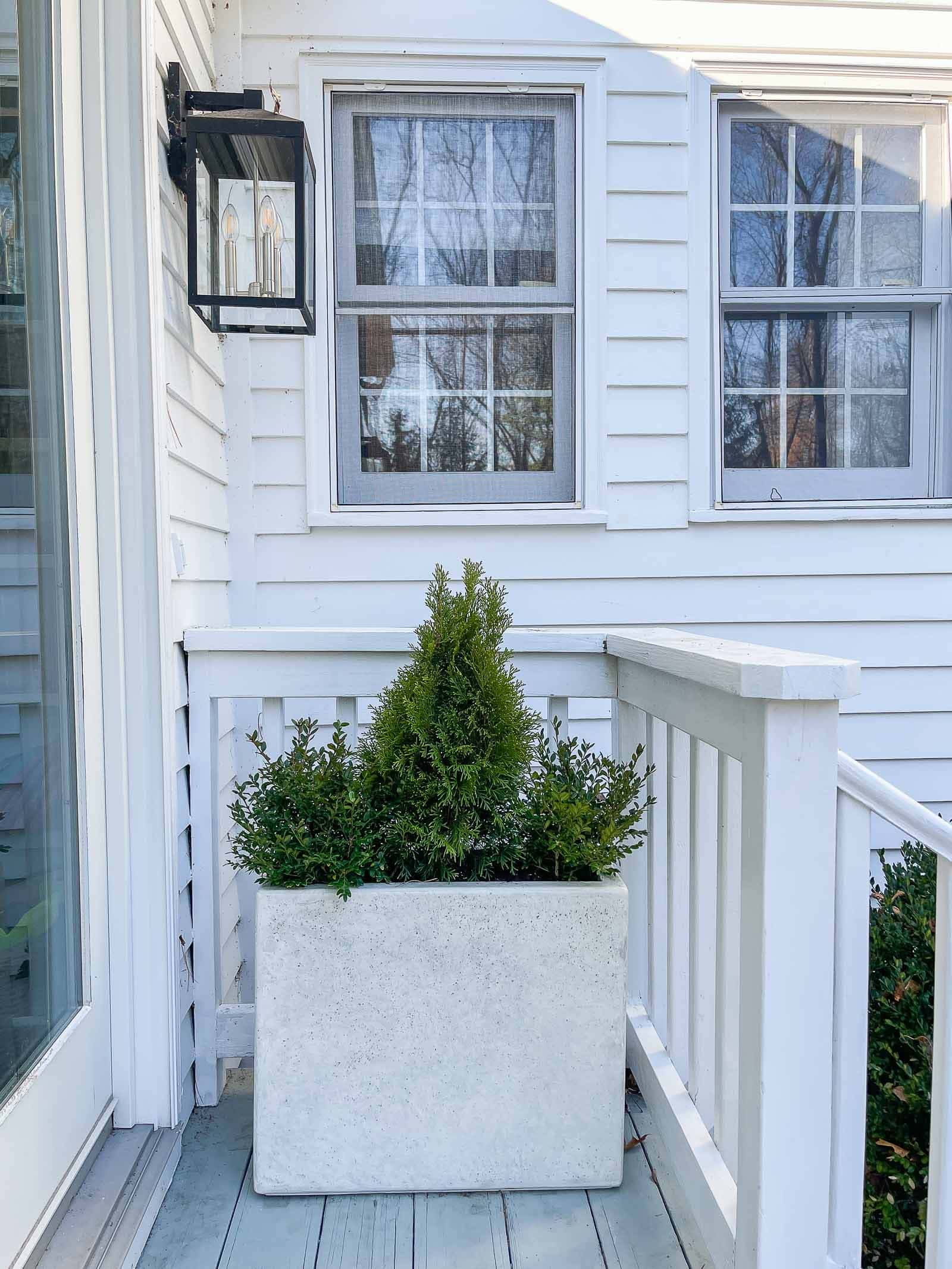 evergreen planters with miracle gro soil