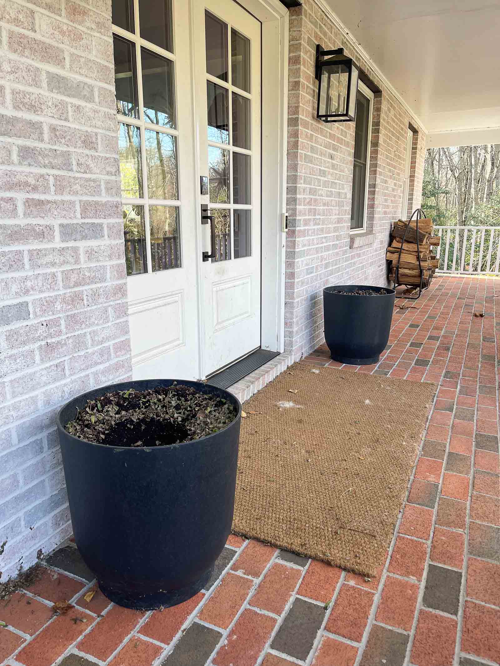 planters for evergreens