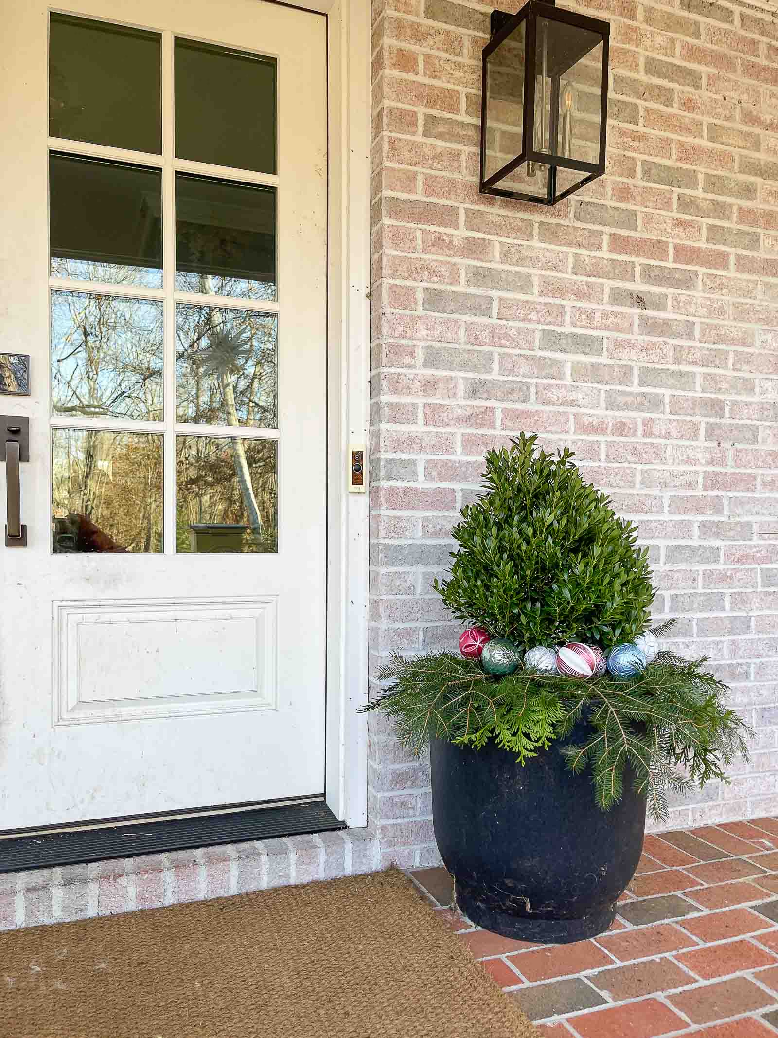 planters with miracle gro and evergreens