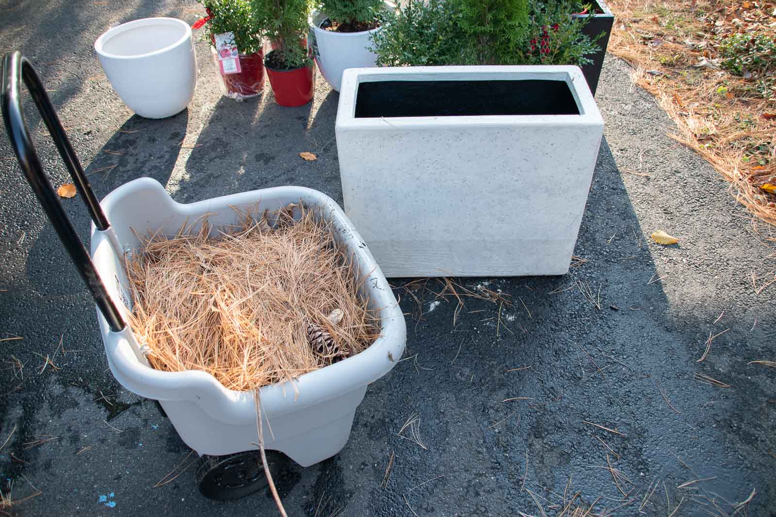 assorted home depot planters