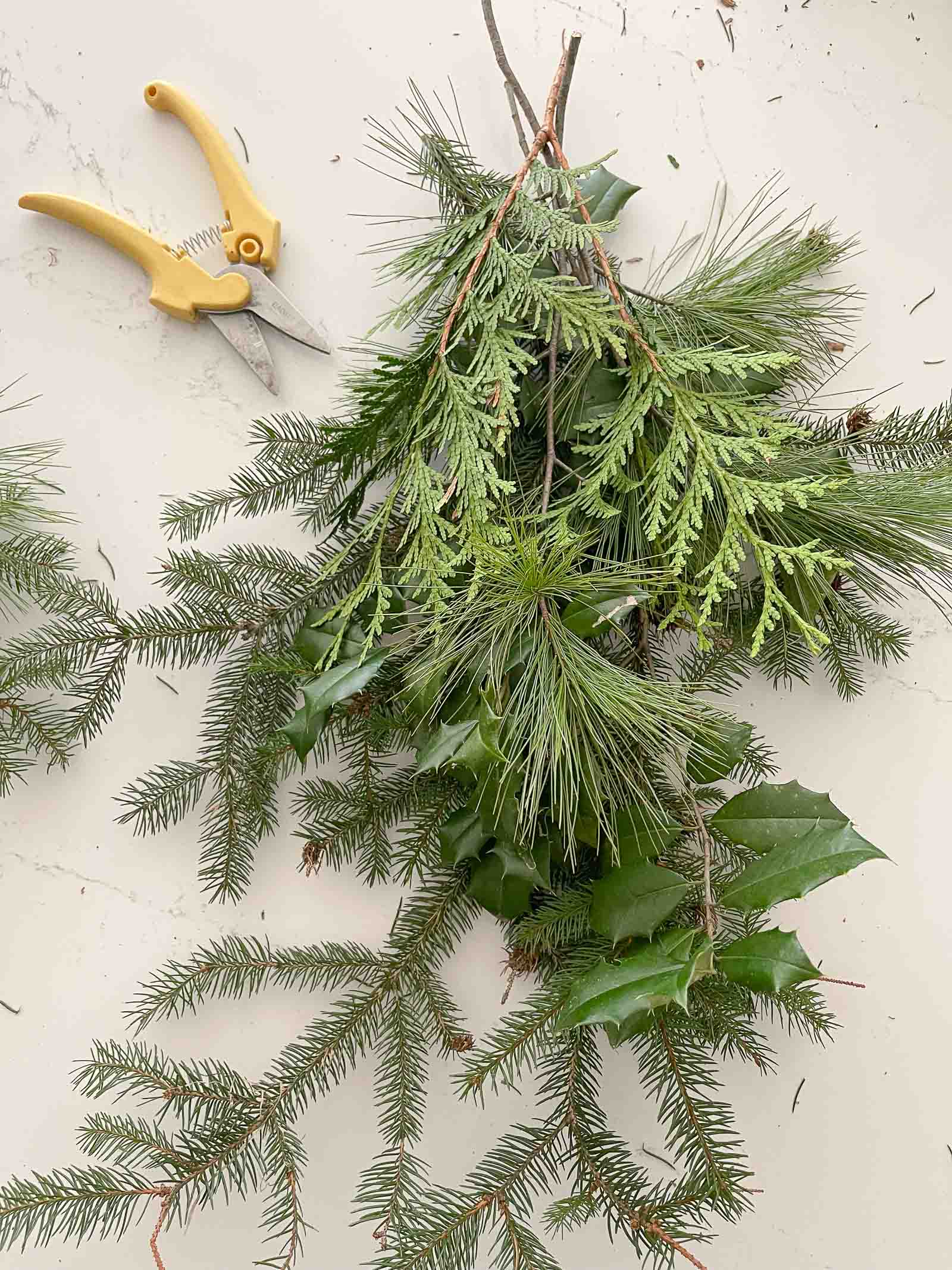 snip evergreen clippings