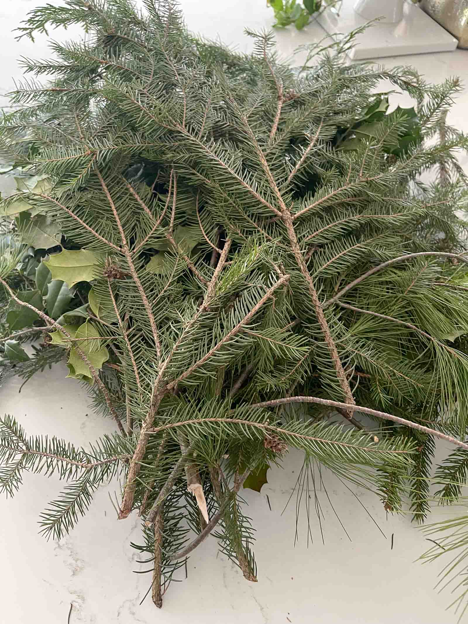 evergreen clippings