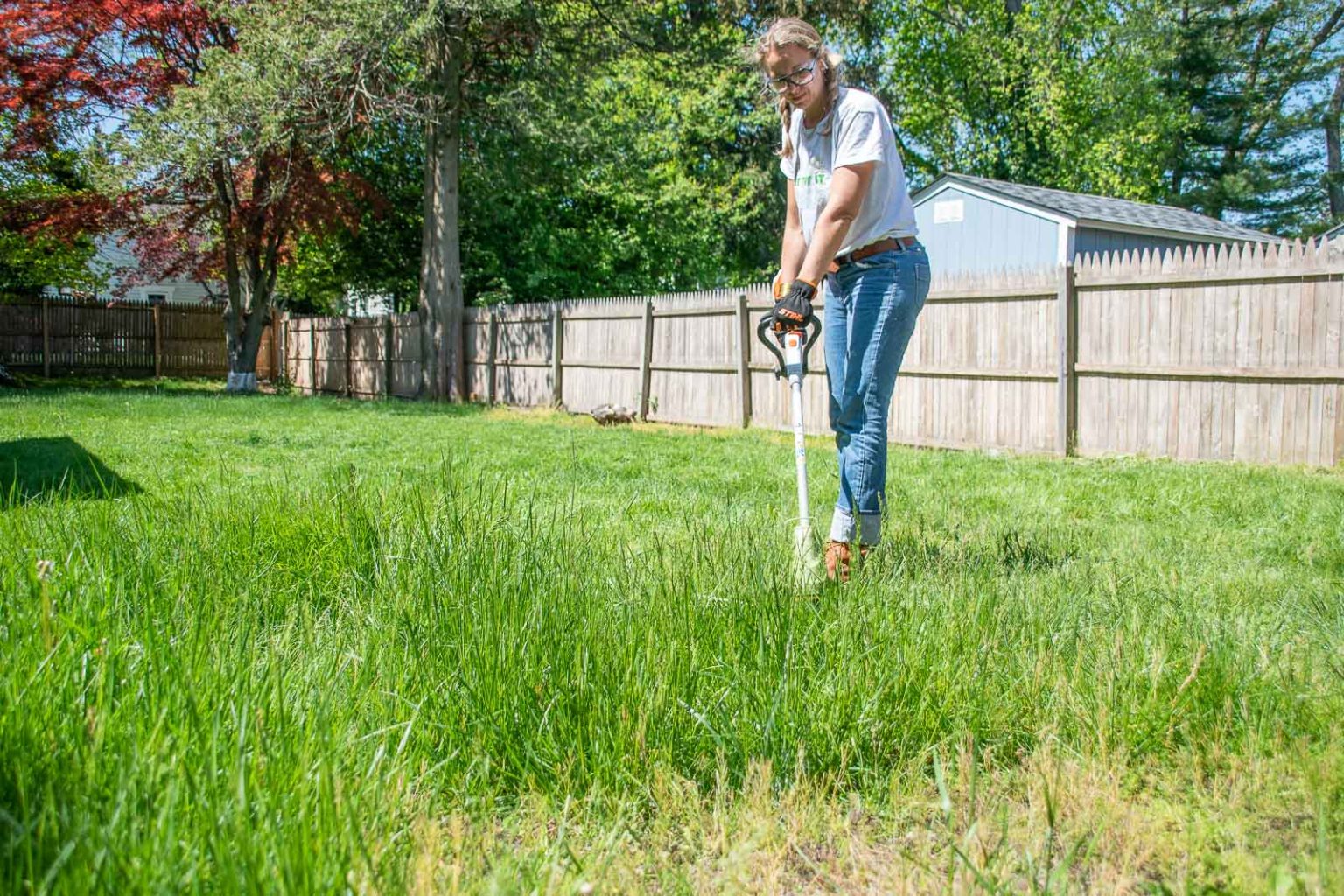Cleaning Up Our Backyard Landscaping with Ease At Charlotte's House