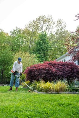 how to use a trimmer to clean up your yard