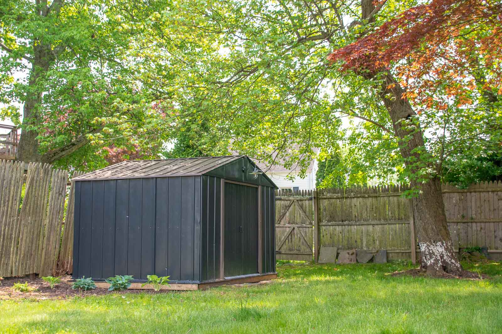 painted backyard shed