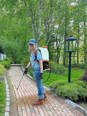 3 Ways to Use a Pump Sprayer in Your Yard