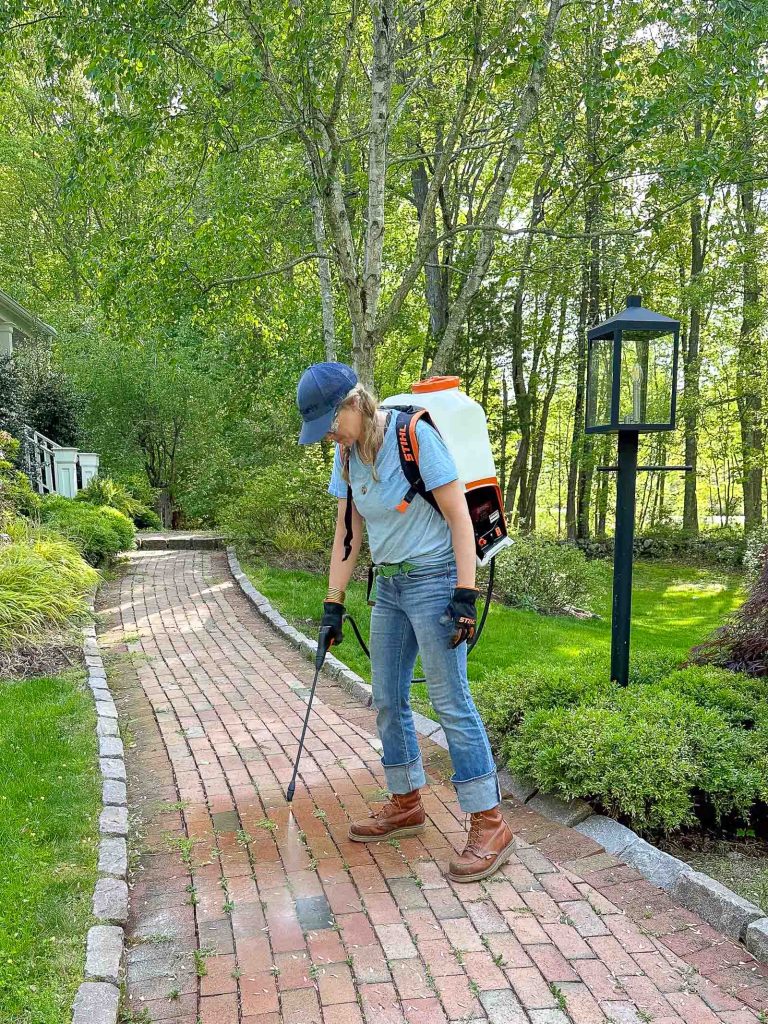 spraying weeds on front walk