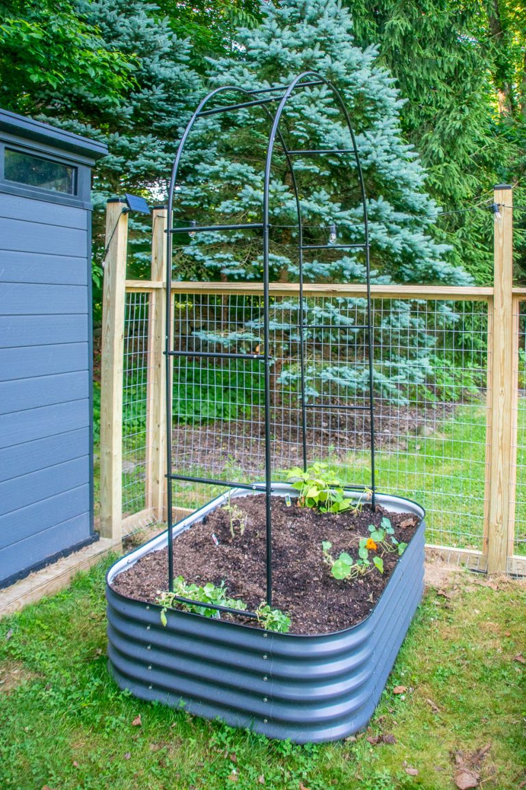 Step-by-Step Guide to Building a DIY Raised Vegetable Garden with ...